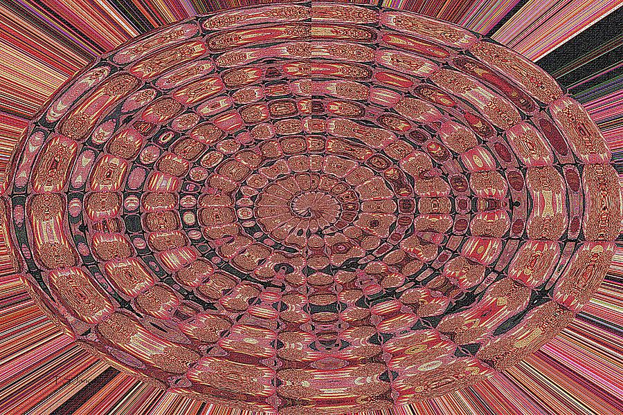Manzanita Berries In Bowl Abstract Digital Art by Tom Janca