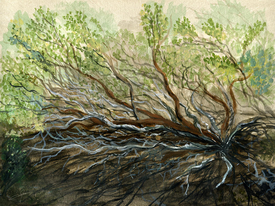 Nature Painting - Manzanita by Dale Jackson