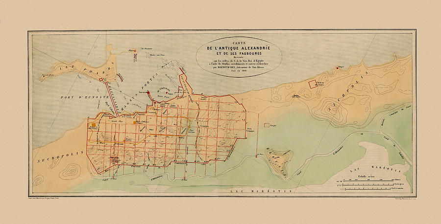 Map Of Alexandria 1866 Photograph by Andrew Fare