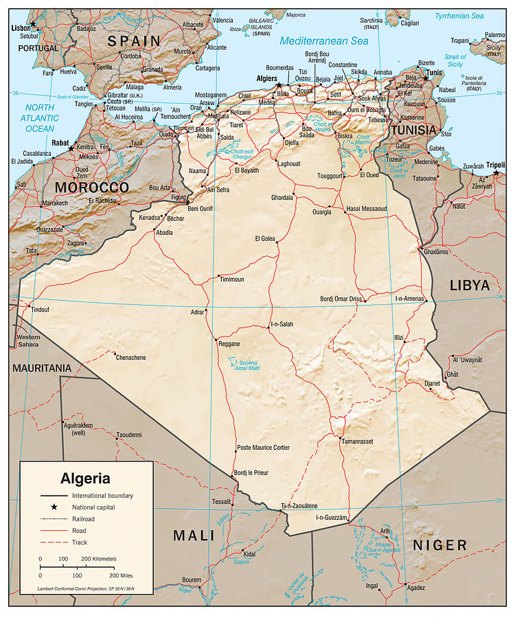 Map of Algeria Mixed Media by Roy Pedersen