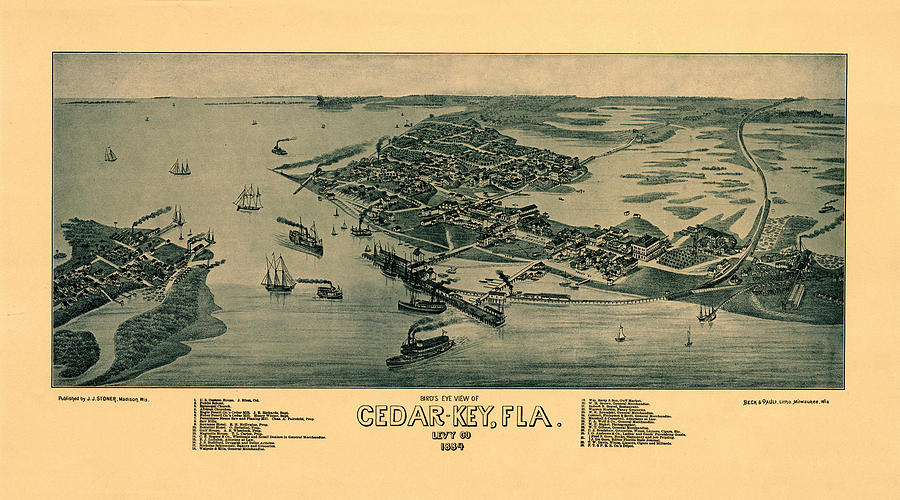 Map of Cedar Key 1884 Photograph by Andrew Fare