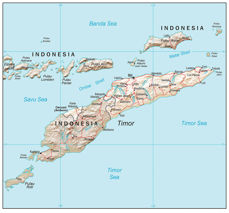 Map of East Timor Mixed Media by Roy Pedersen