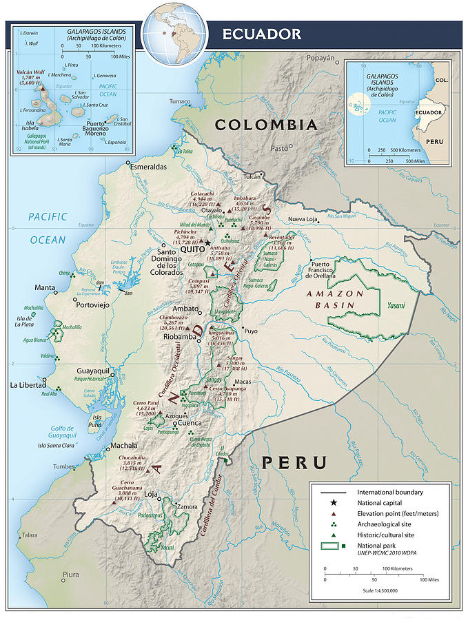 Map of Ecuador 2 Mixed Media by Roy Pedersen