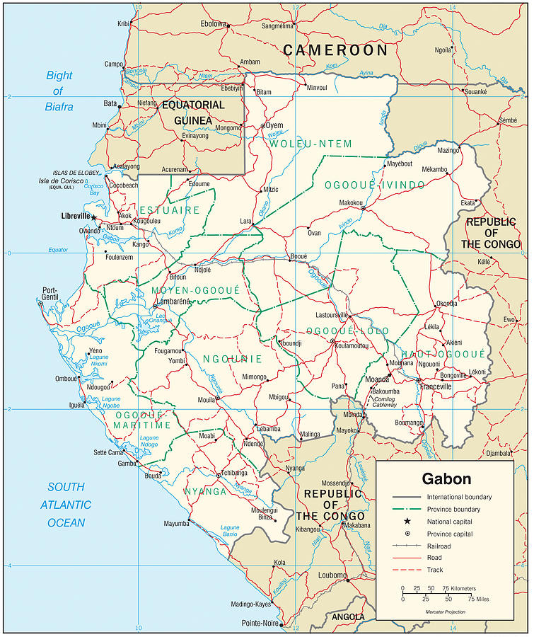 Map of Gabon Mixed Media by Roy Pedersen