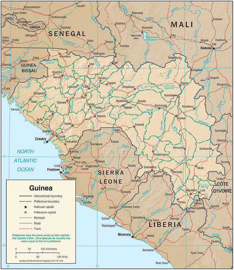 Map of Guinea 2 Mixed Media by Roy Pedersen