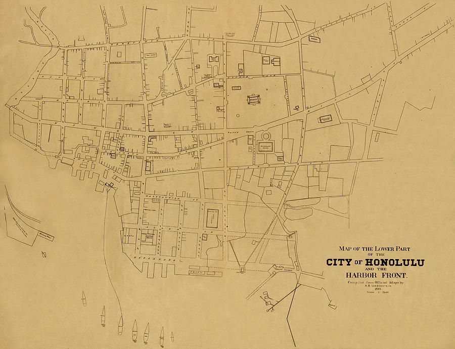 Map Of Honolulu 1893 Photograph by Andrew Fare