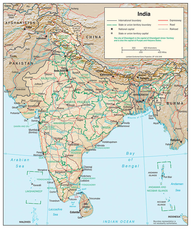 Map of India Mixed Media by Roy Pedersen