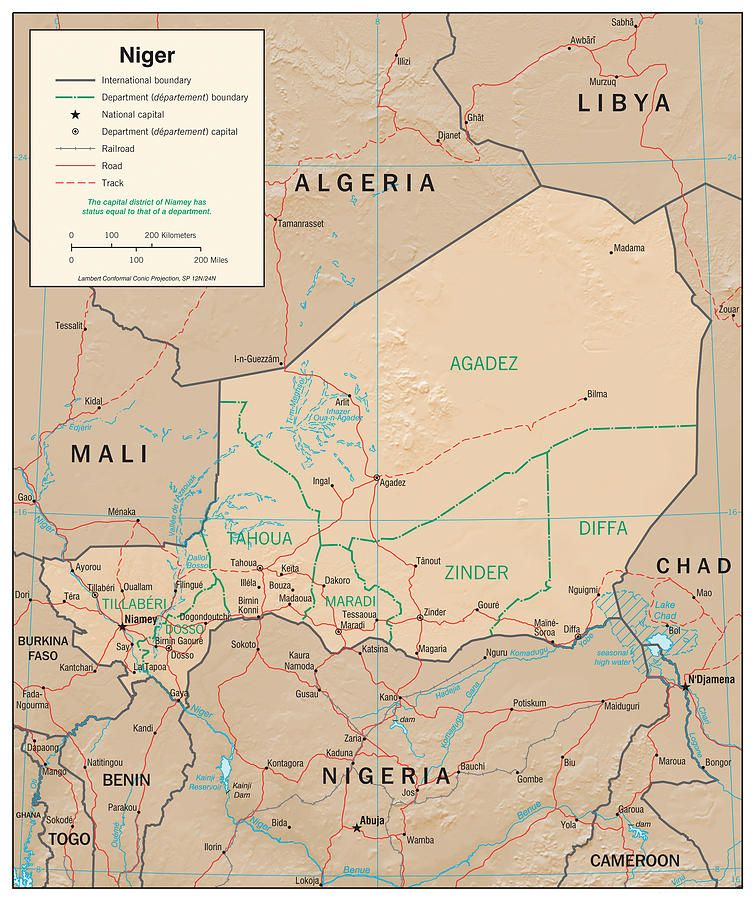 Map of Niger Mixed Media by Roy Pedersen