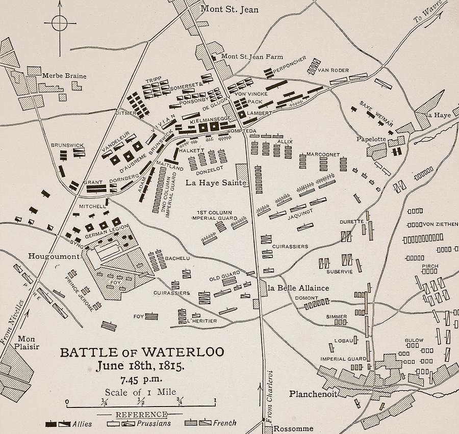Map Drawing - Map of the Battle of Waterloo by English School
