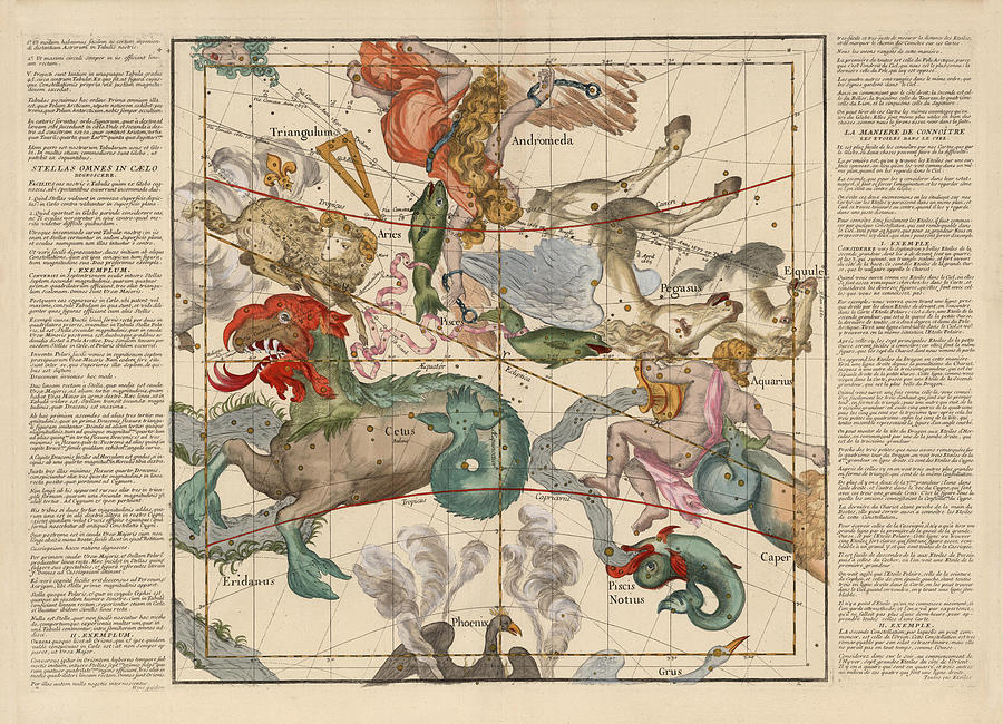 Pegasus Drawing - Map of the constellations Cetus, Pegasus, Aquarius, Andromeda - Celestial Map - Antique map by Studio Grafiikka