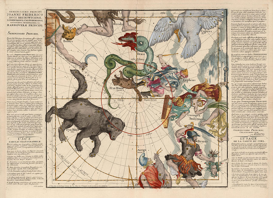 Map of the Constellations Ursa Major, Ursa Minor, Draco - Celestial Map - Antique Map of the Sky Drawing by Studio Grafiikka