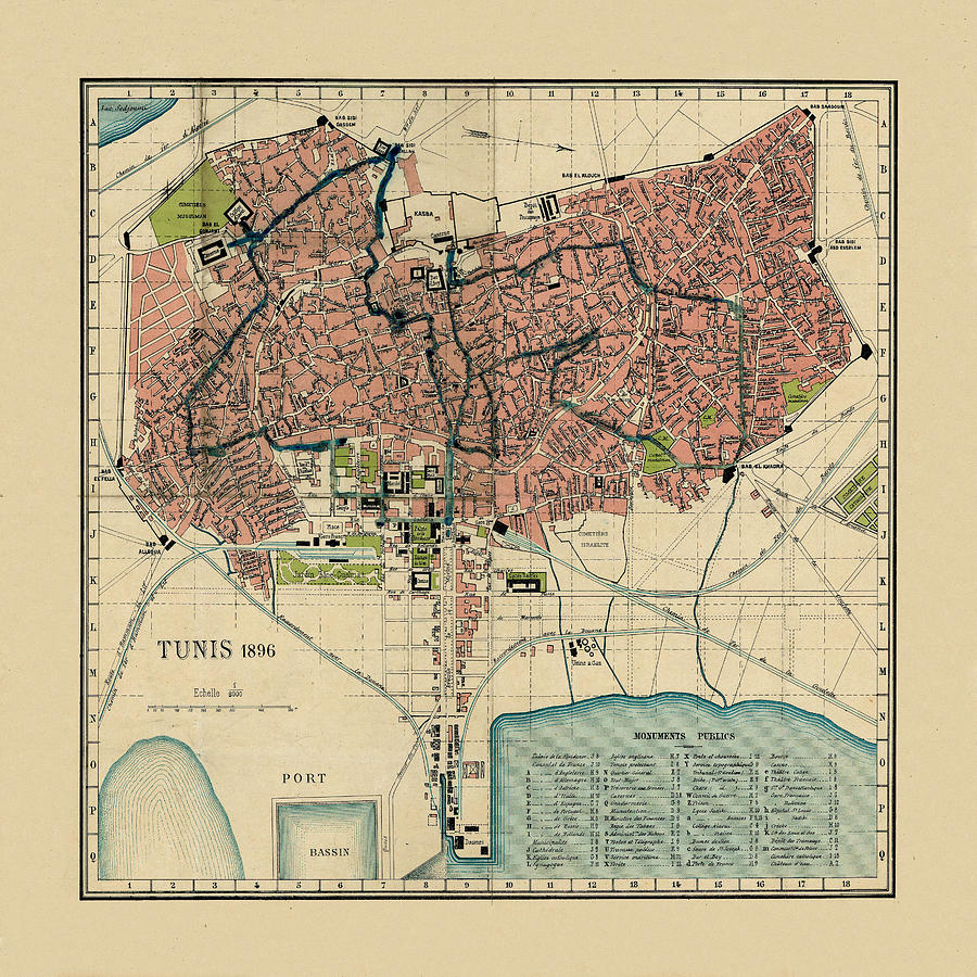 Tunisia Photograph - Map Of Tunis 1896 by Andrew Fare