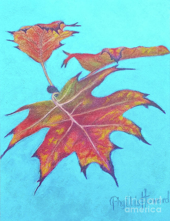 Drifting into Fall Drawing by Phyllis Howard