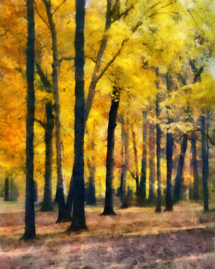 Maple Grove in Autumn Digital Art by Frances Miller
