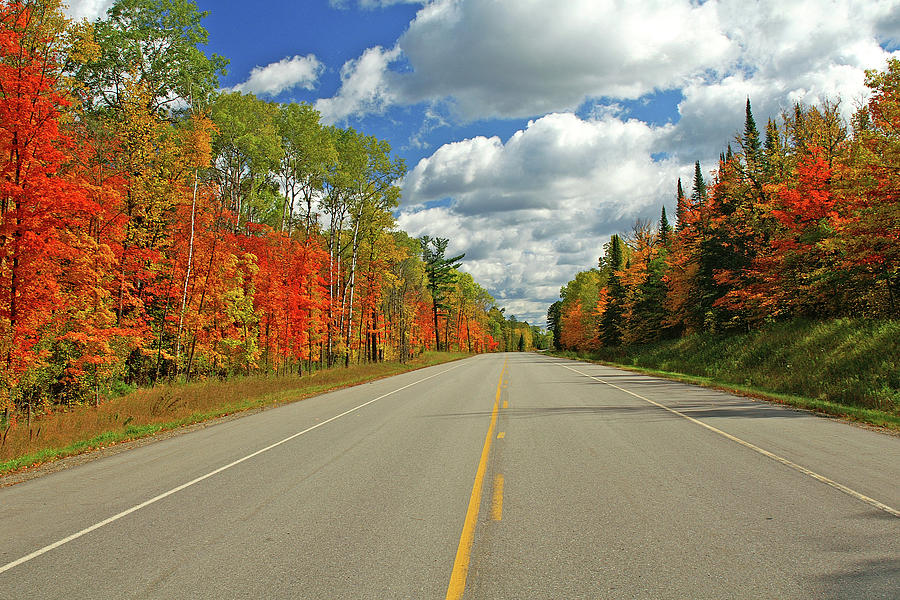 Scenic Highway Photograph - Maple Highway by Bill Morgenstern