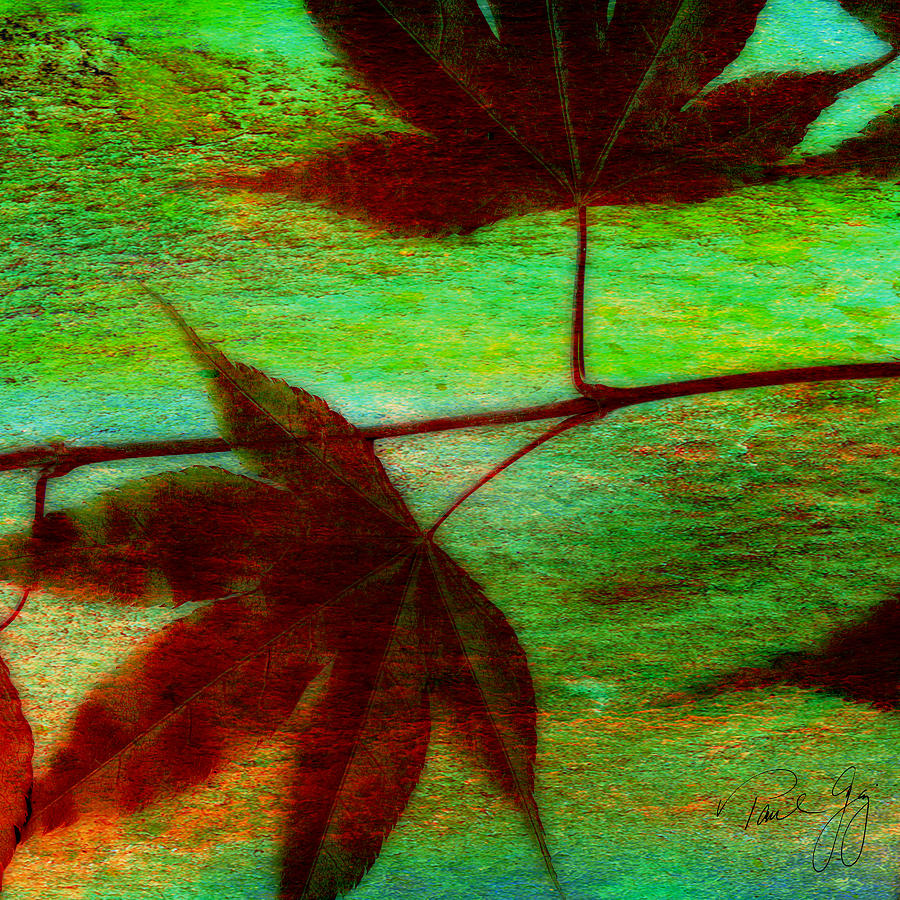 Maple Leaf 1 Mixed Media by Paul Gaj