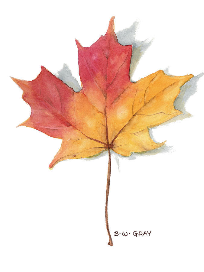 Maple Leaf Painting by Betsy Gray