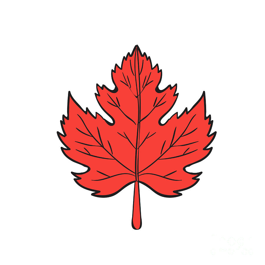 Канада кленовый лист нарисовать