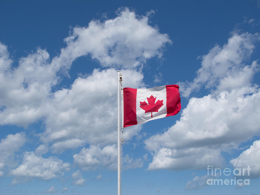 Maple Leaf Flag Flying High Photograph