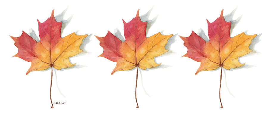Maple Leaf Mug Painting by Betsy Gray