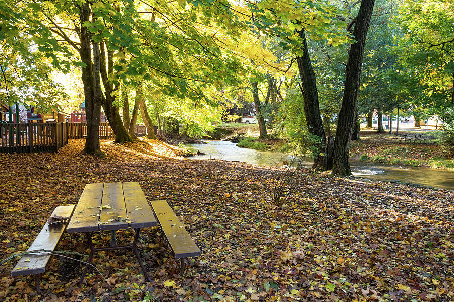 Maple Leaves and Picnic Table Photograph by Tom Cochran