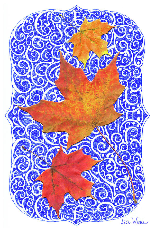 Maple Leaves Digital Art by Lise Winne