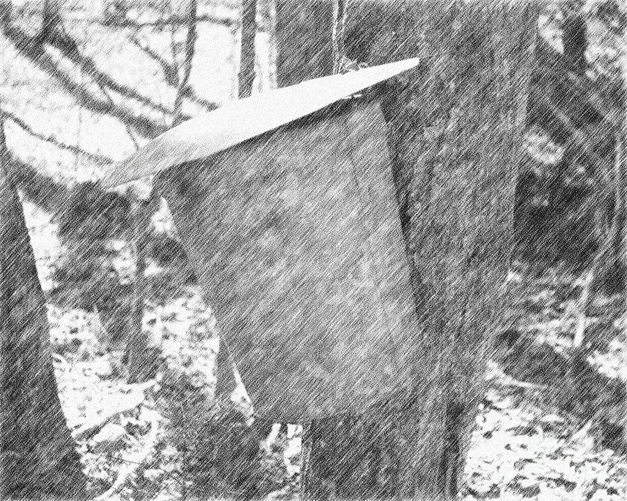 Maple Sap Bucket On Tree Digital Art by Smilin Eyes Treasures