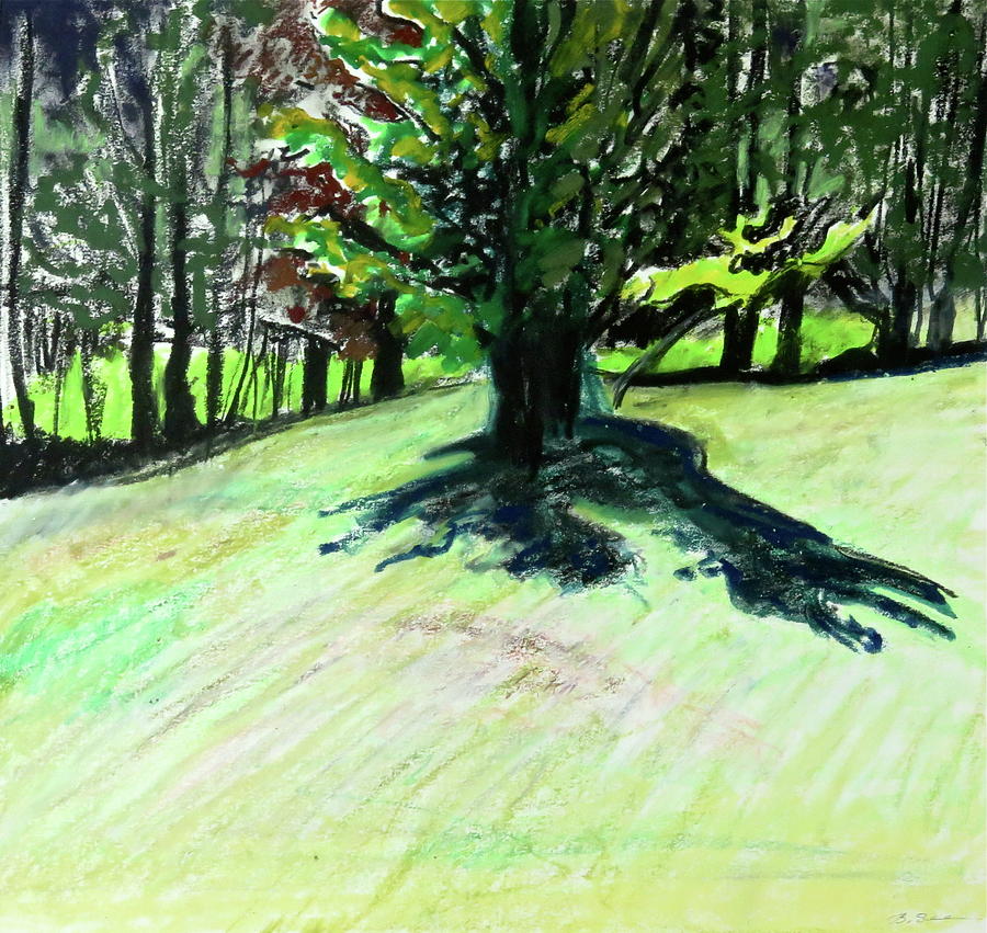 Tree Drawing - Maple Shadow by Bonnie See