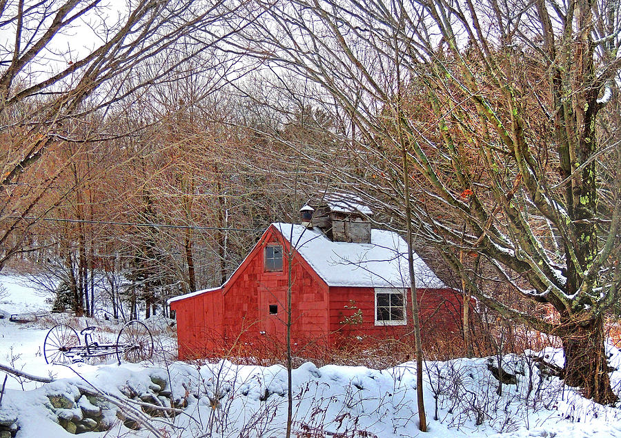 Maple Sugar Shack at Mount Cube Photograph by Nancy Griswold