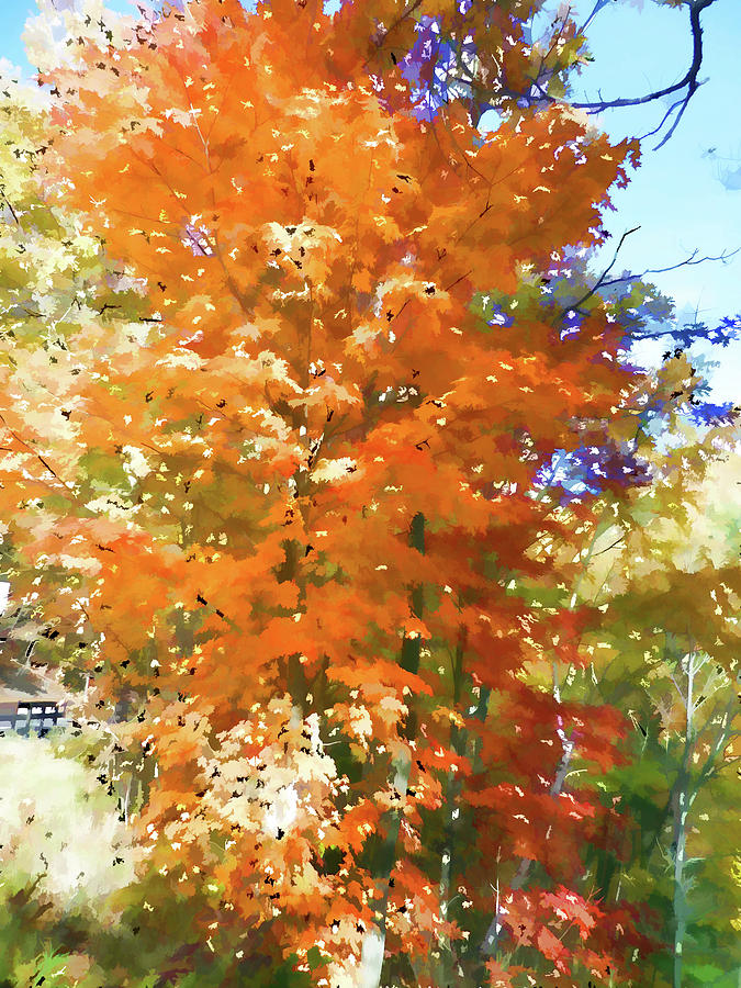Maple tree in autumn Painting by Jeelan Clark