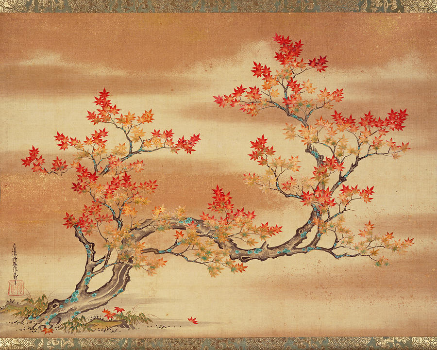 Maple tree in Autumn Drawing by Tosa Mitsuoki