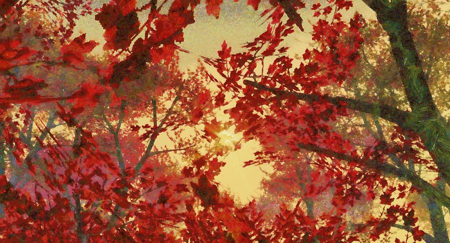 Claude Monet Digital Art - Maple Tree Sunset by Karim Alhalabi