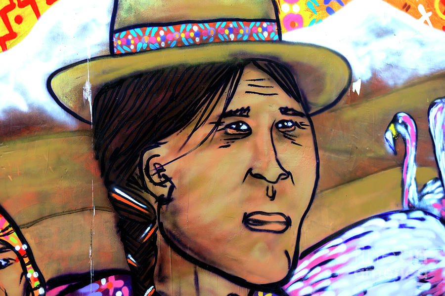 Mapuche Woman Mural in Valparaiso Chile Photograph by John Rizzuto