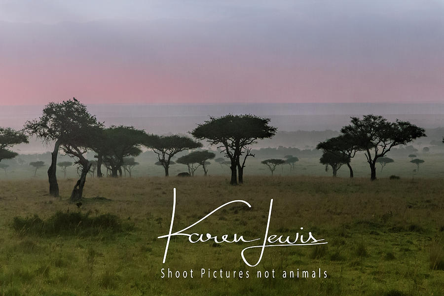 Mara Dawn Photograph by Karen Lewis