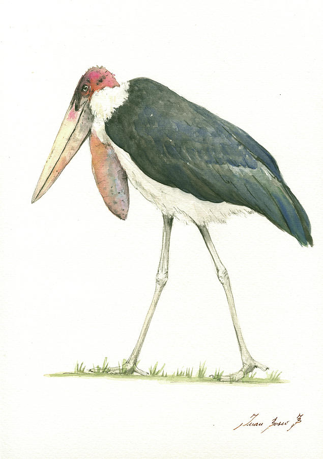 Marabou Stork Painting - Marabou by Juan Bosco