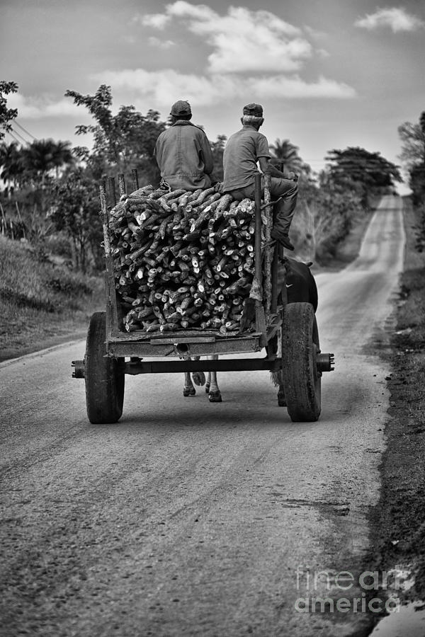 Marabu road Photograph by Jose Rey