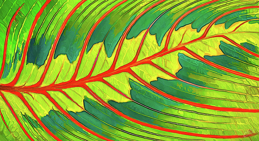 Maranta Red 2 Digital Art by ABeautifulSky Photography by Bill Caldwell