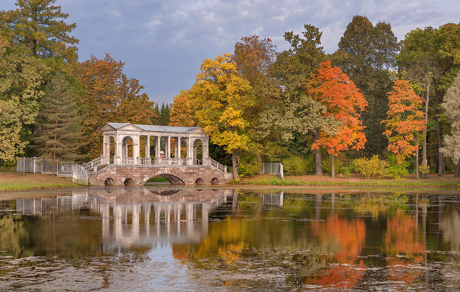 Marble Bridge at Catherine Park Photograph by Russian School