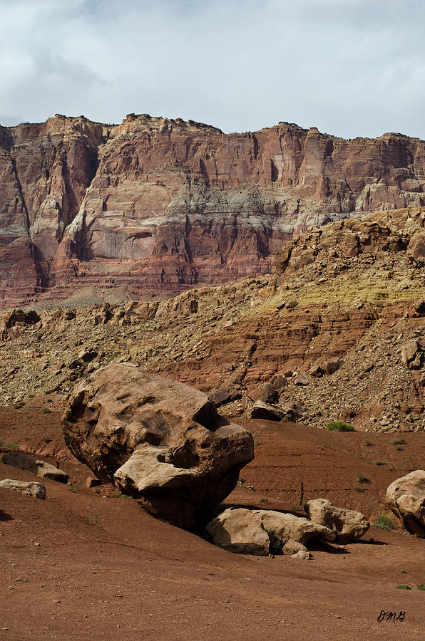 Marble Canyon IV Photograph by David Gordon