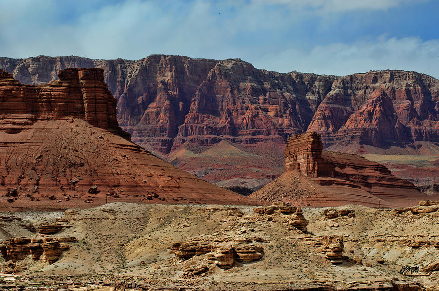 Marble Canyon IX Photograph by David Gordon