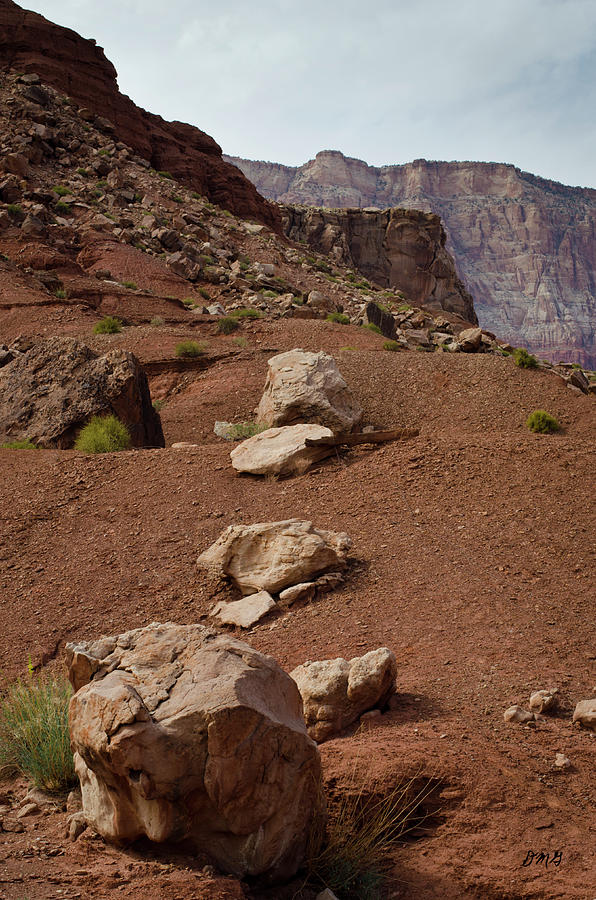 Marble Canyon VII Photograph by David Gordon