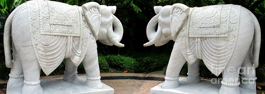 Marble Elephants Photograph by Randall Weidner