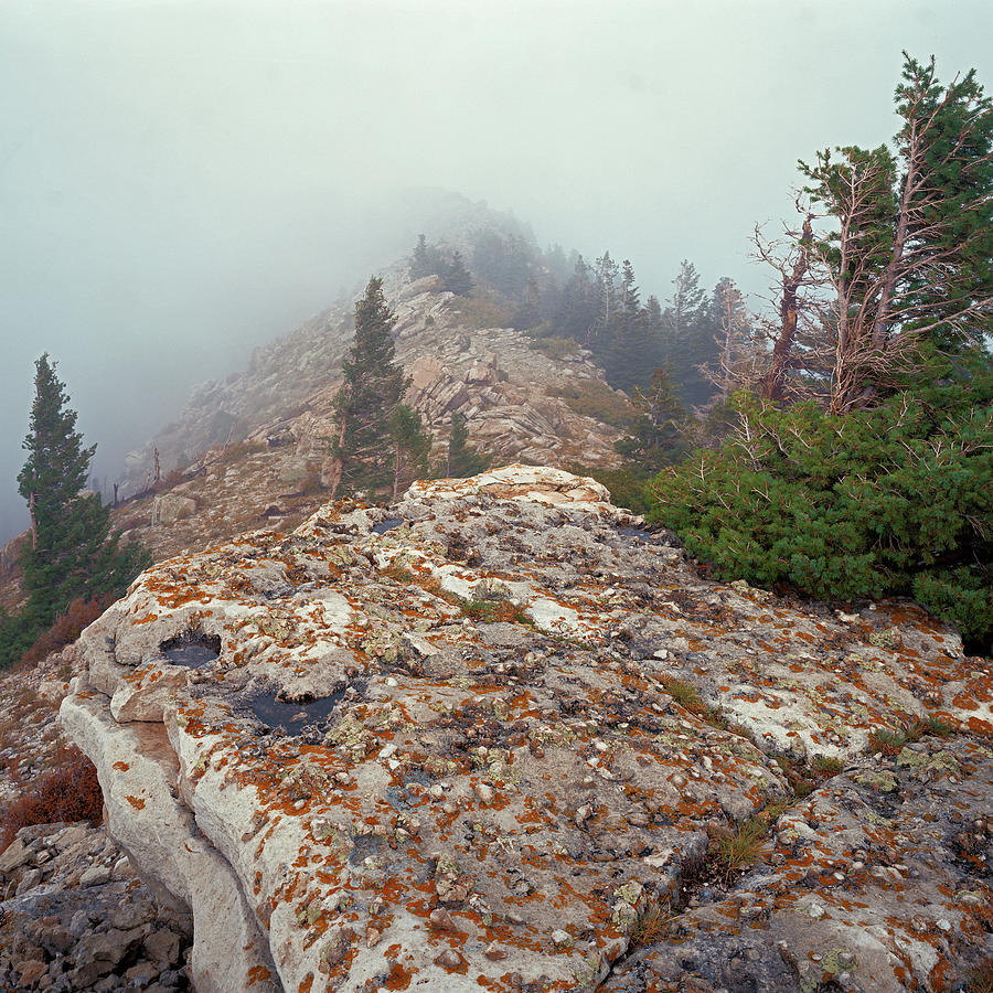 Marble View Fog-SQ Photograph by Tom Daniel