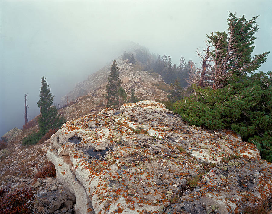 Marble View Fog Photograph by Tom Daniel