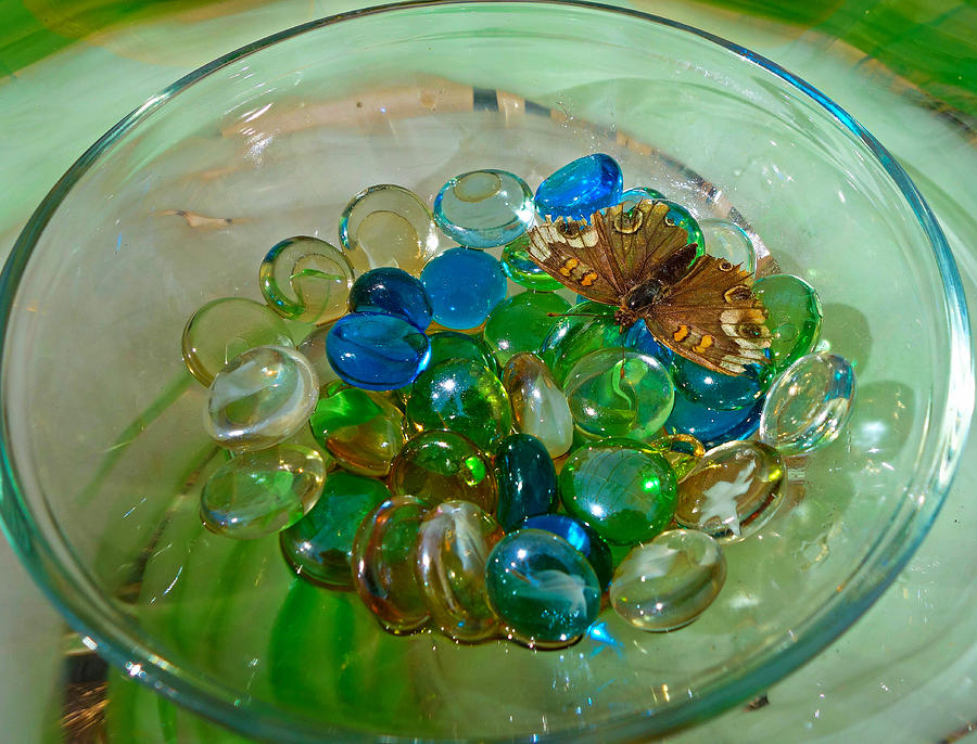 Marbles and a Butterfly Photograph by Robert Meyers-Lussier