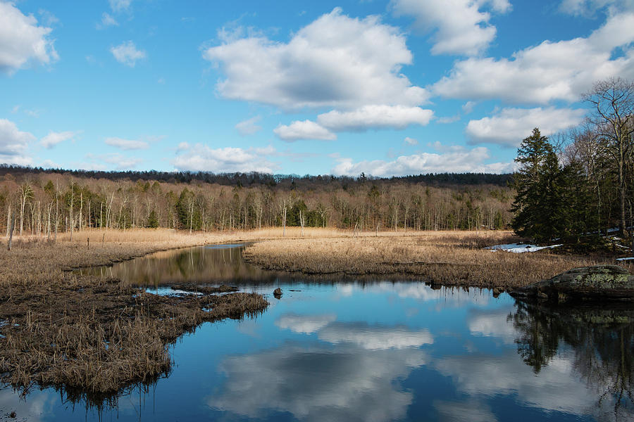 March Afternoon at Black Creek Photograph by Jeff Severson