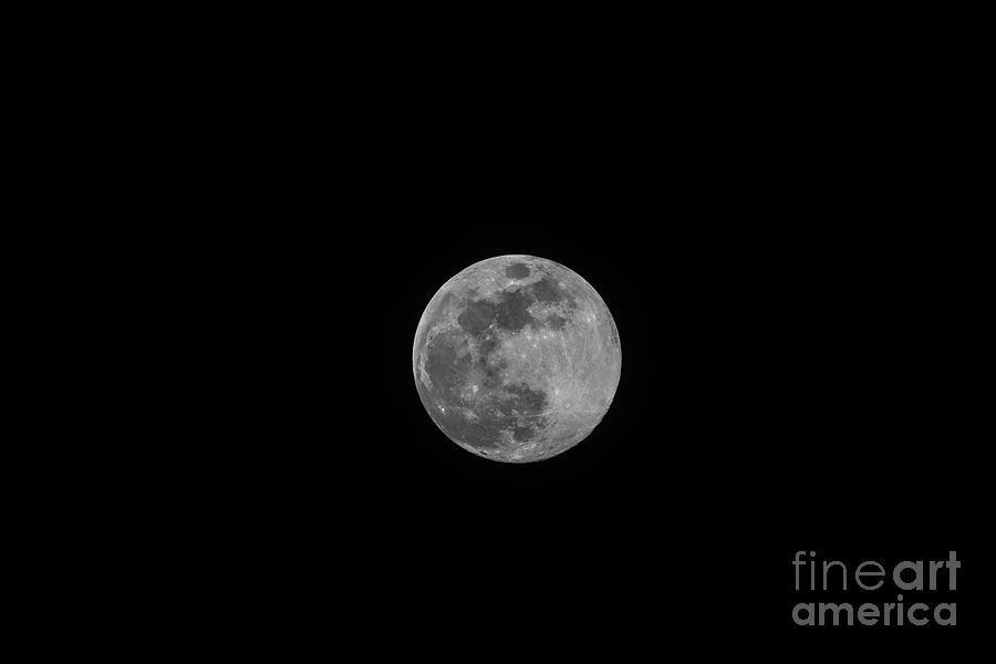 March full moon - blue moon Photograph by David Bearden