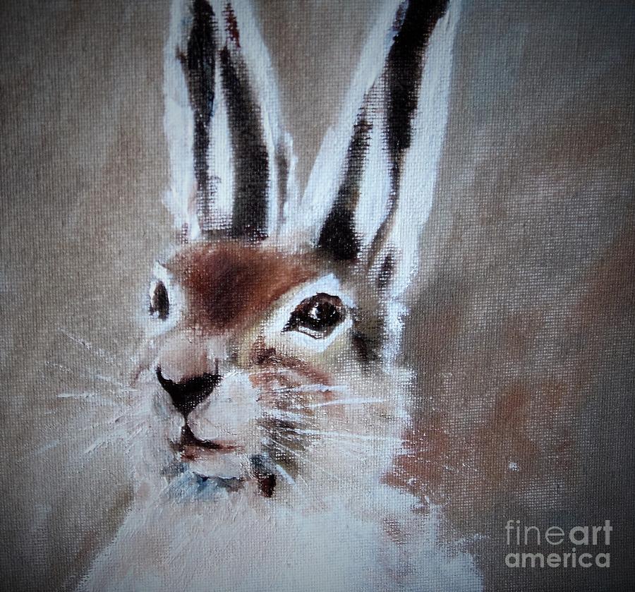 March Hare in colour Painting by Angela Cartner