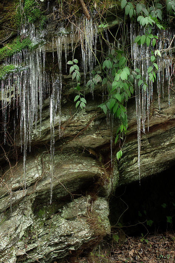 March Icicles 2 Photograph by Mike Eingle