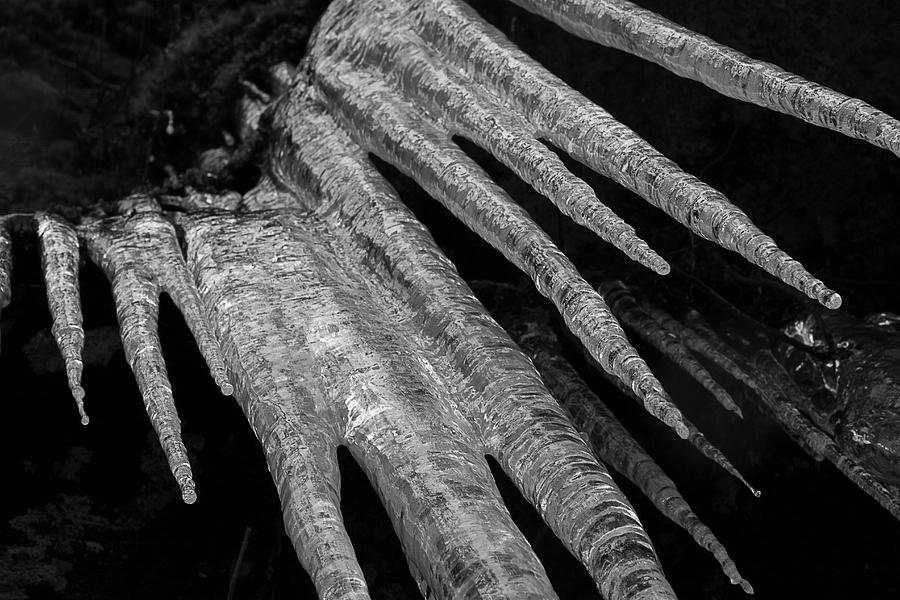 March Icicles 3 Photograph by Mike Eingle